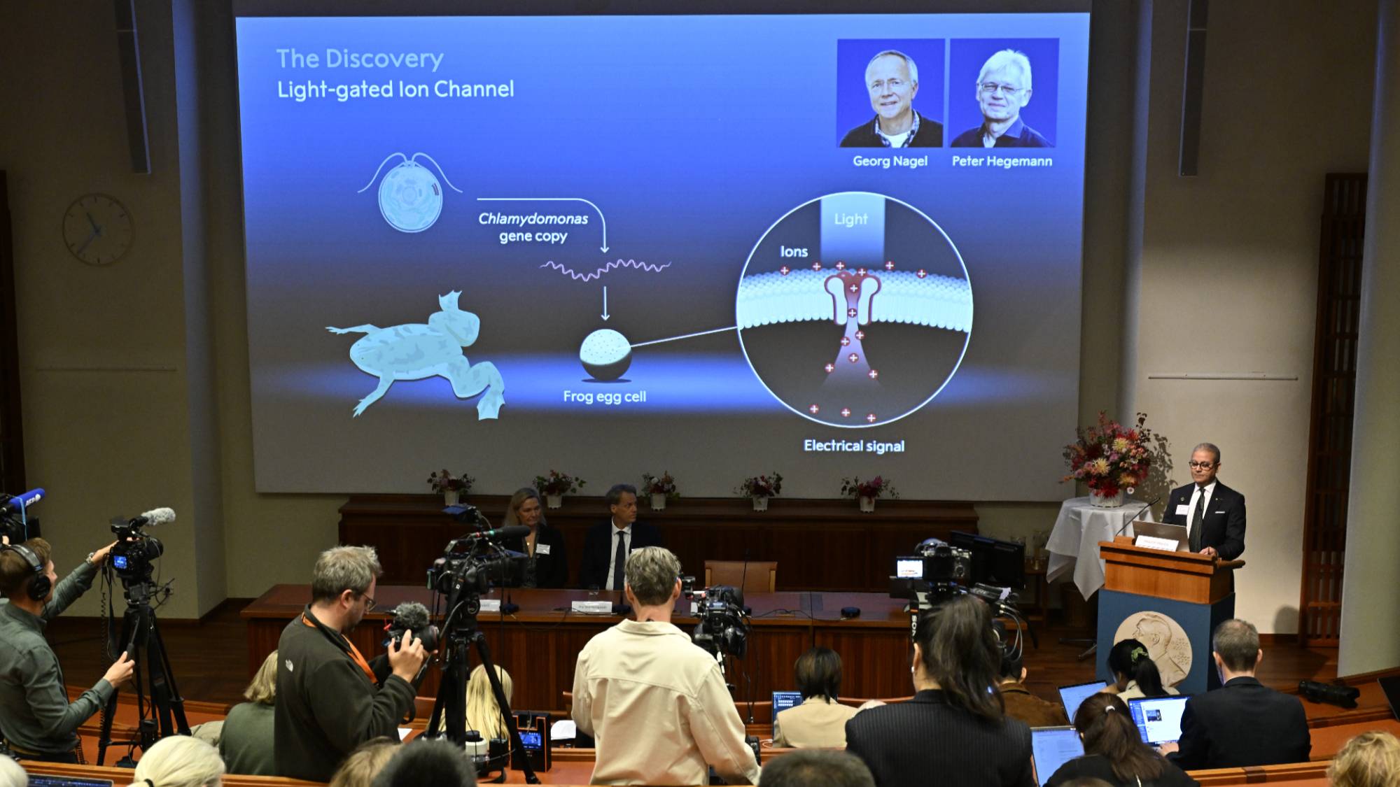 2026诺贝尔生理医学奖颁给光遗传学,华人学者遗憾错过-虎嗅网