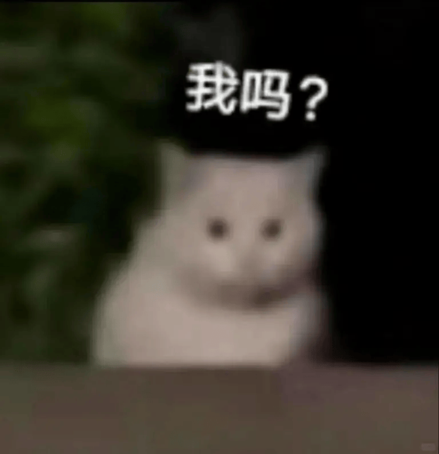 何恺明团队新作:看猫片就能学会ARC挑战 - 量子位